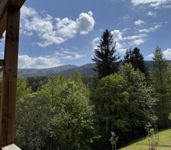 KARPACZ ORLIK Residence & SPA B106