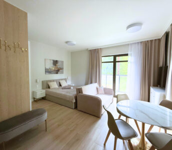 KARPACZ ORLIK Residence & SPA B106